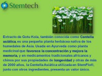 /album/fotogaleria-stemflo/diapositiva34-copia-jpg1/